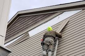 Best Fascia and Soffit Installation  in Christopher, IL